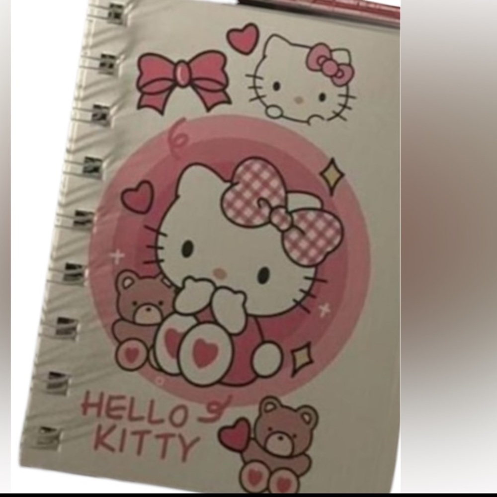NEW HELLO KITTY Spiral Notebook Adult Kids NWT